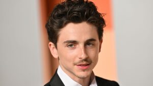 Timothée Chalamet, Buzz Cut, เปิดเผย, ปีนี้, สับสน